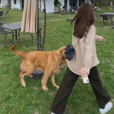两性争雄记