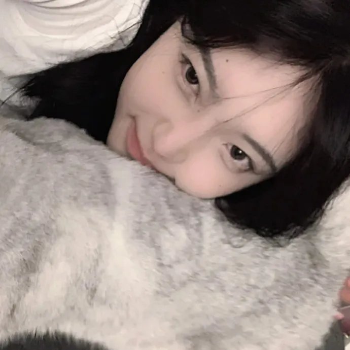 猫的葬礼